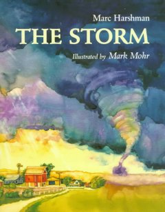 The storm  Cover Image
