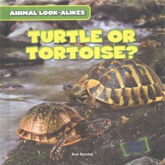 Turtle or tortoise?  Cover Image