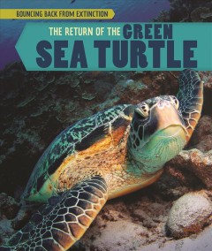 The return of the green sea turtle  Cover Image
