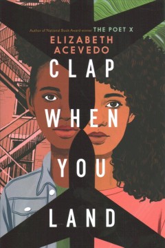 Clap when you land  Cover Image