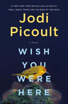 Wish you were here : a novel  Cover Image