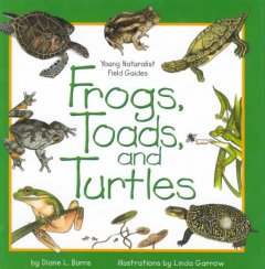 Frogs, toads, and turtles  Cover Image