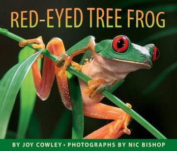 Red-eyed tree frog  Cover Image