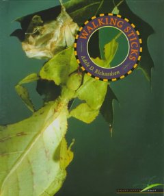 Walking sticks  Cover Image