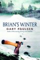 Go to record Brian's winter