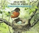 Go to record About birds : a guide for children = Sobre los p©Øajaros :...