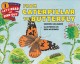 Go to record From caterpillar to butterfly