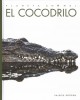 Go to record El cocodrilo