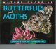 Go to record Butterflies and moths