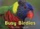 Go to record Busy birdies